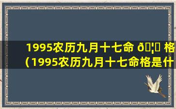 1995农历九月十七命 🦉 格（1995农历九月十七命格是什么）